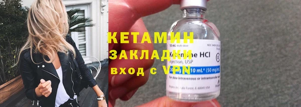сатива Кулебаки