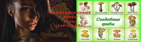 дурь Козельск