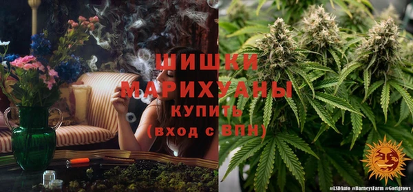МДПВ Ессентукская