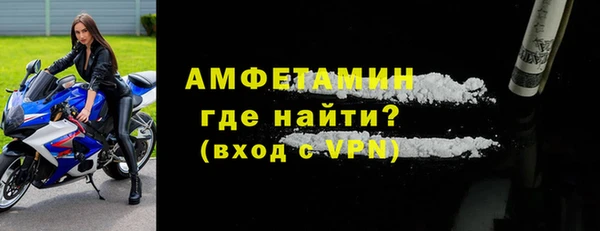 сатива Кулебаки