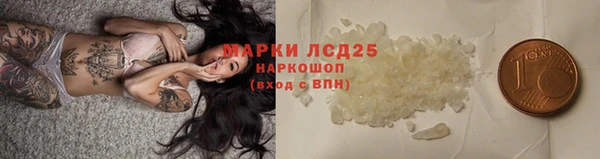сатива Кулебаки