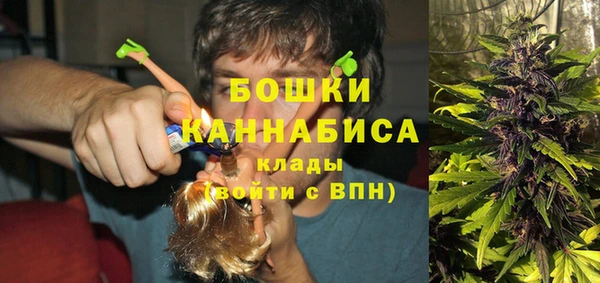 дурь Козельск