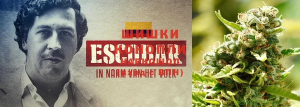 дурь Козельск
