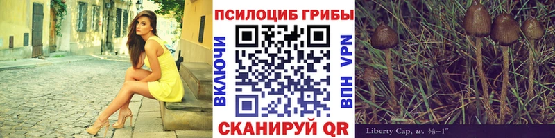 Галлюциногенные грибы ЛСД  Купить закладки  Калачинск 
